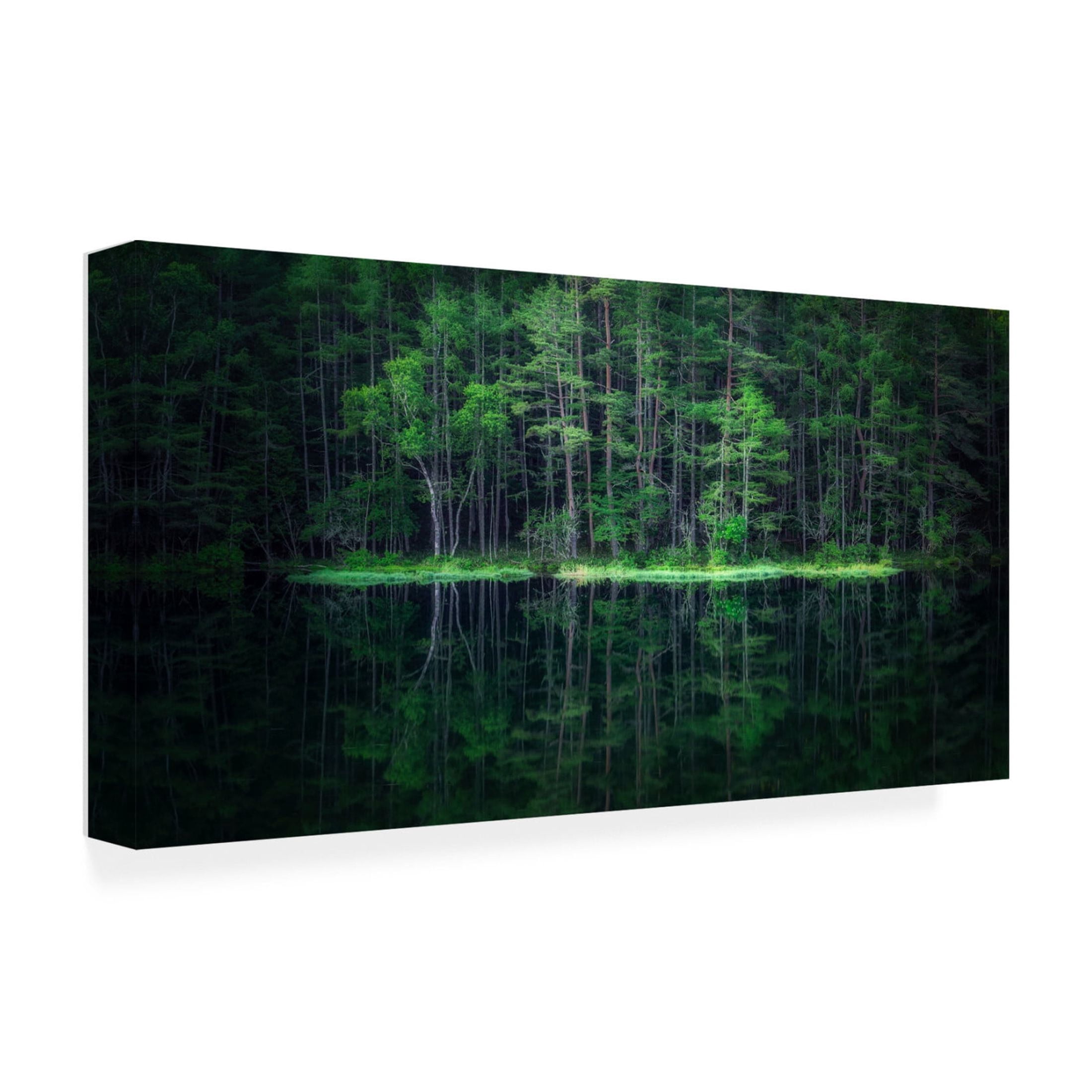 Canvas Wall Art - Takeshi Mitamura 'Green World' Wall Art for Living Room, Bedroom, or Office Décor by Trademark Fine Art - 47 x 24 Inches