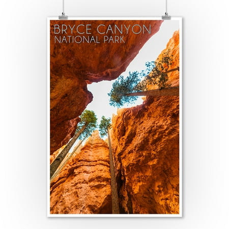 Bryce Canyon National Park, Utah - Navajo Loop Trail - Lantern Press Photography (9x12 Art Print, Wall Decor Travel