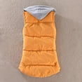 thumbnail image 4 of JIKNTTR Women Jacket Casual Slim Sleeveless Quilted Removable Hooded Winter Vest Coat Womens Casual Versatile Coats, 4 of 4