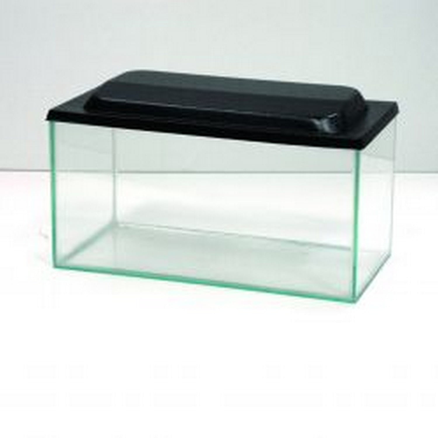 Mini Aquarium with Lid Walmart Canada