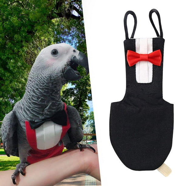 Cute Parrots Suit Washable Pet Clothes with Bow Tie Bird Costume for  Decoration XL 