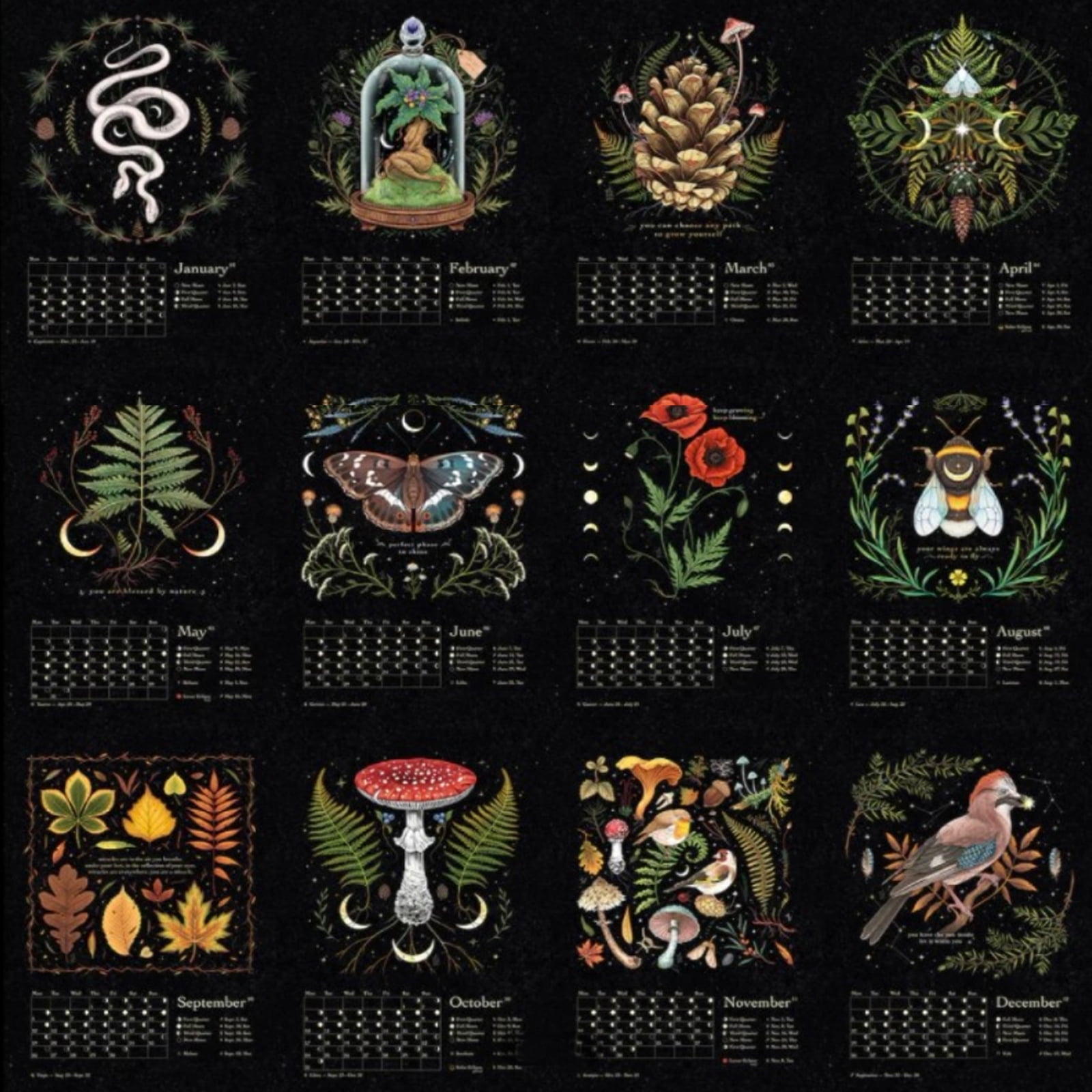 Moon Calendar 2023 Dark Forest Lunar Calendar Wall Calendars For Art 