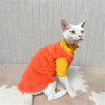 thumbnail image 4 of HQREA Sphynx Cat Sweater, Warm Hairless Cat Clothes Pet Fleece Pullover for Cold Weather, 4 of 6