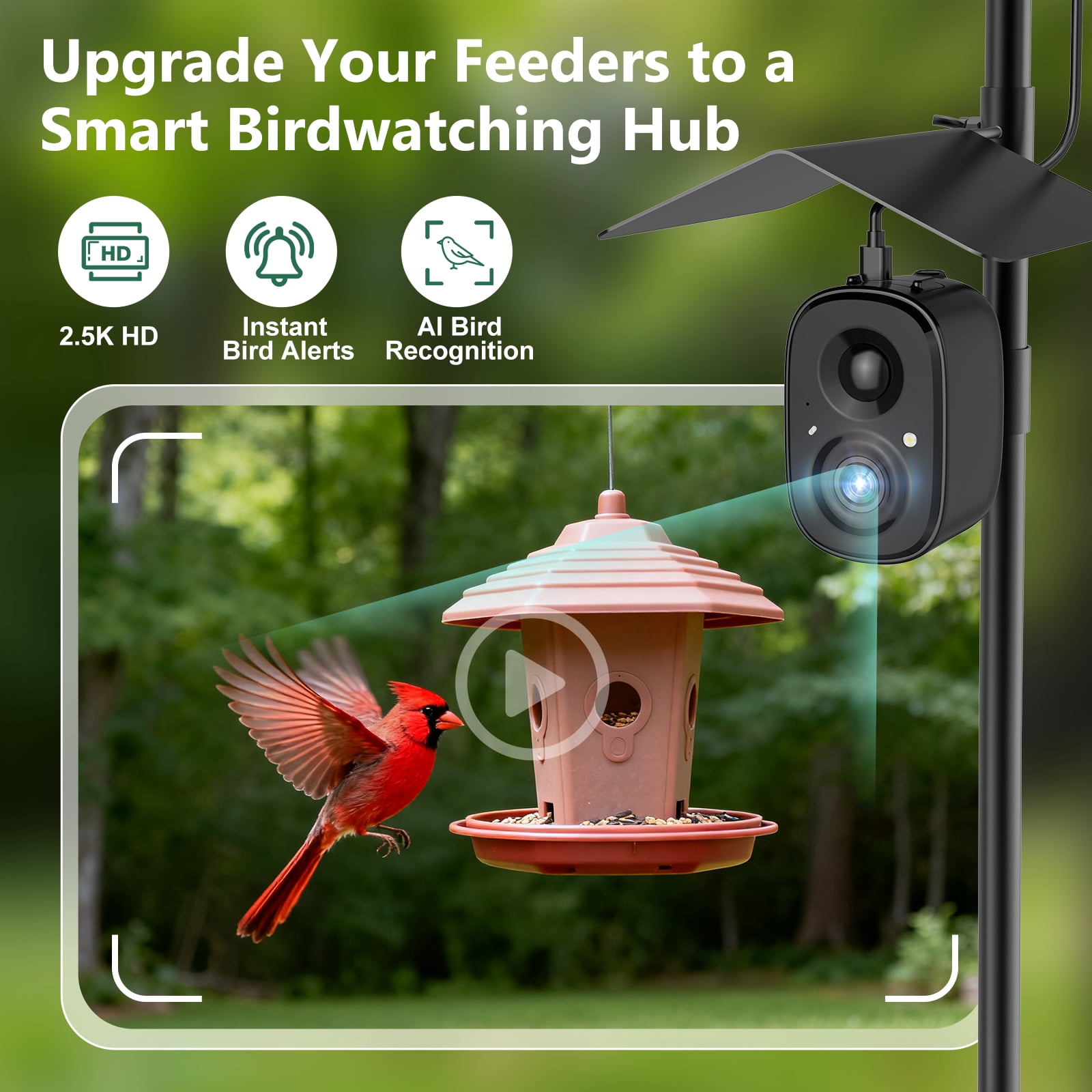 Coolfly x Richbird Solar Smart Bird Feeder Camera with 63" Pole Mount, 2.5K HD Wireless Outdoor Birdwatching Camera with Phone Alerts & No Monthly Fees AI Species Identification