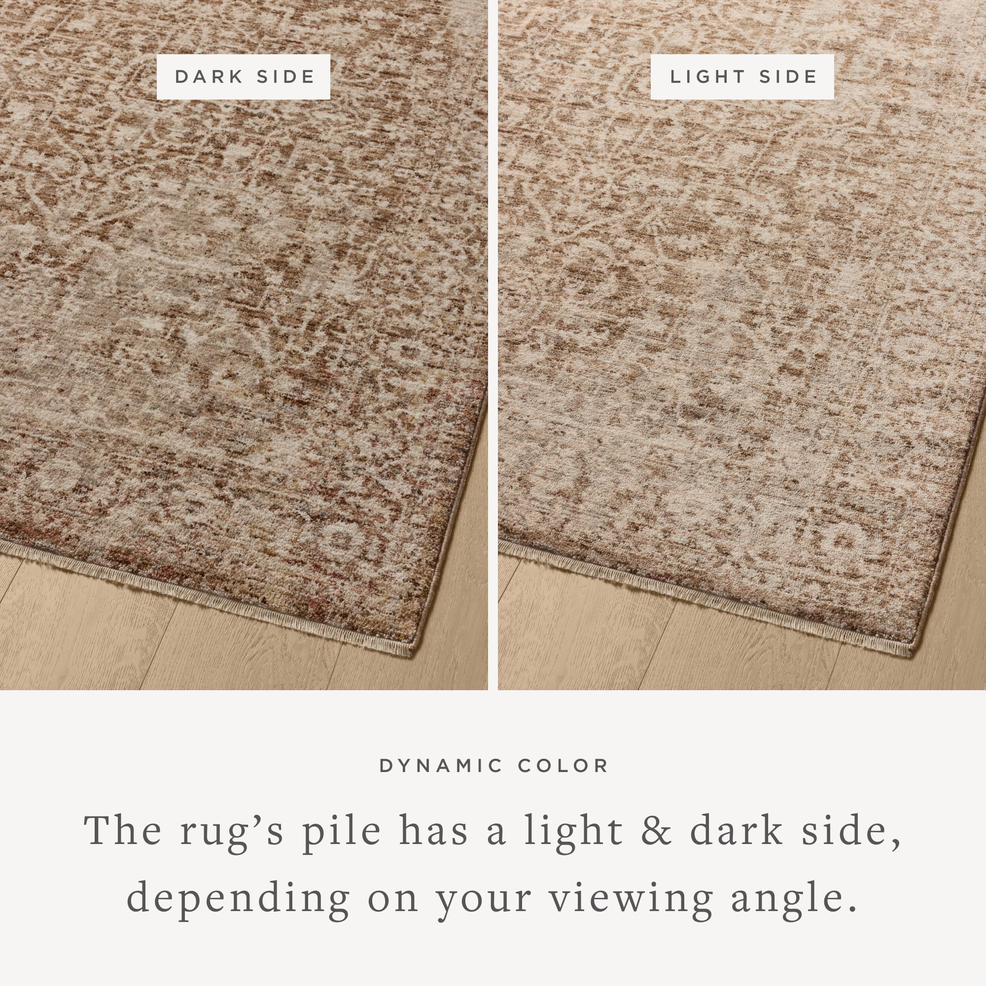 Loloi Newman Bark / Natural 7'-10" x 10'-2" Area Rug