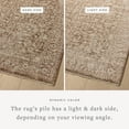 thumbnail image 6 of Loloi Newman Bark / Natural 6'-7" x 9'-10" Area Rug, 6 of 7