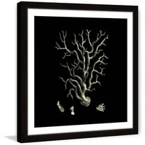 "Black & Tan Coral I" Framed Painting Print