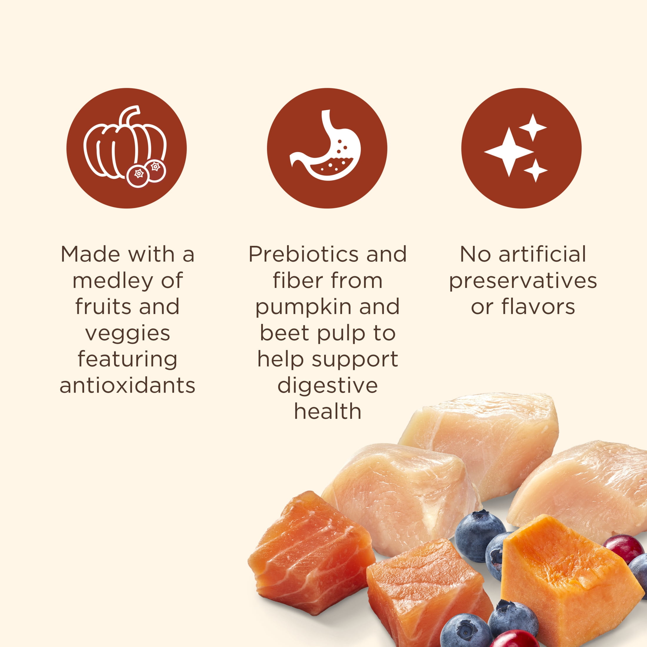 Nutrish Everyday Immune Support Chicken, Salmon, Blueberry & Pumpkin Recipe Dry Dog Food, 13lb Bag