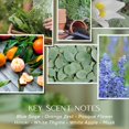 thumbnail image 4 of Mezcla de soja con salvia silvestre de Candle Havenwick, 650 ml, tarro grande, 4 of 8