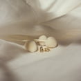 thumbnail image 2 of 0.50 Carat Round Cut Natural Moissanite Huggie Women Hoop Earrings 14K Yellow Gold Plated, 2 of 5