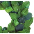thumbnail image 2 of Fraser Hill Farm PVC Decorated Pine Round Christmas Wreath, with Multi Hue Magnolia Leaf 30" (Green), 2 of 2