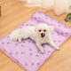 thumbnail image 4 of Alfombras de baño, alfombras para sala de estar, alfombra de área, alfombra de baño de verano para perros, cama de seda de hielo, cojín de hielo para mascotas, cojín de hielo para niños, tapetes de co, 4 of 5