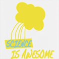 thumbnail image 3 of CafePress - Science Is Awesome 2 - Kids Hooded Sweatshirt, Classic Hoodie, 3 of 4