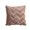 Brown, variant on Throw Pillow with Insert, Double-Sided PV Velvet Soft Decorative Pillow for Sofa Couch Living Room Bedroom and Headboard Support, White