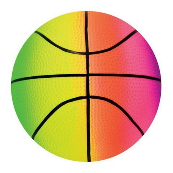 54-5260BX Rainbow Sport Vinyl Basketball