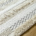 thumbnail image 6 of BoutiqueRugs Faron Bohemian, Transitional Area Rug - Light Gray - 27" x 45", 6 of 9