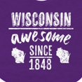 thumbnail image 4 of Inktastic Wisconsin Awesome Since 1848 Boys or Girls Baby Bib, 4 of 4