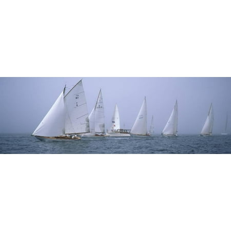 Yachts Racing in the Ocean, Annual Museum of Yachting Classic Yacht Regatta, Newport, Newport Co... Print Wall Art By Panoramic
