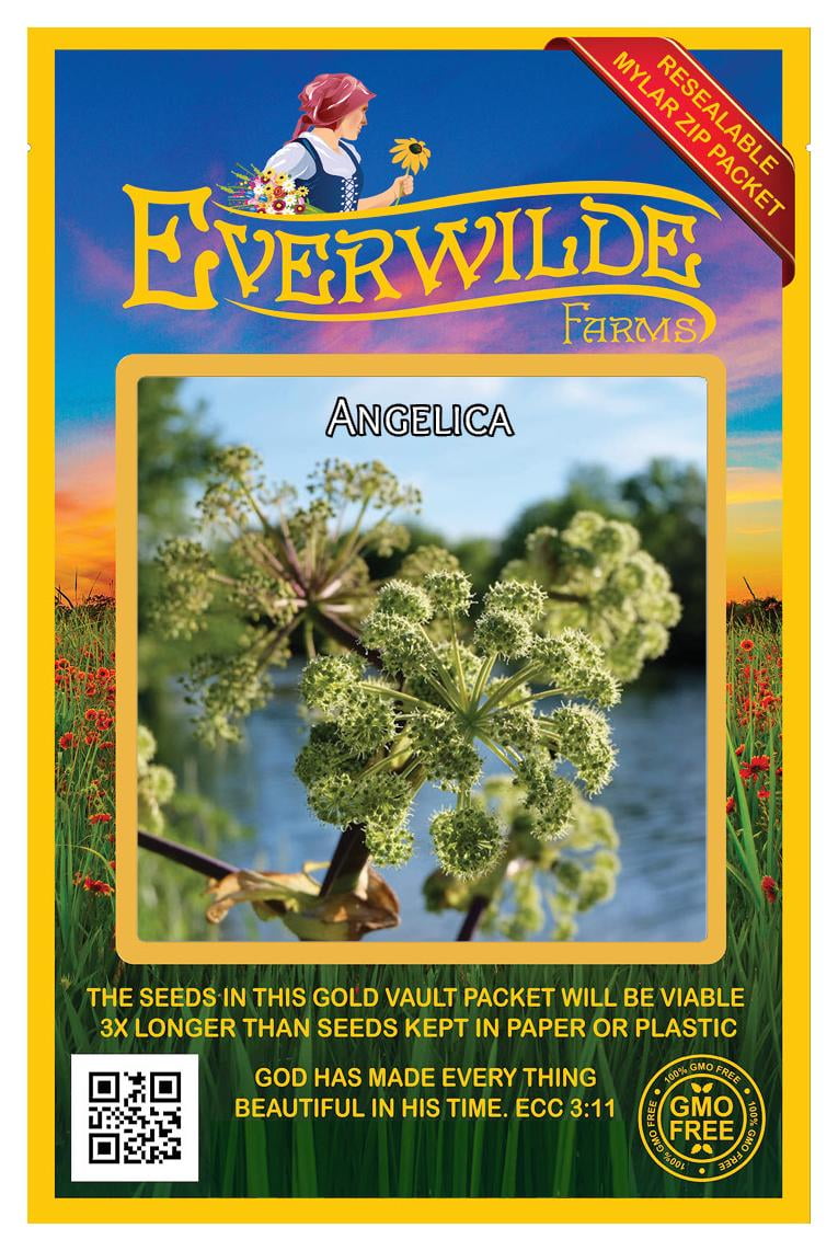 60 Wild Senna Wildflower Seeds – Everwilde Farms Mylar Packet, Perennial Native