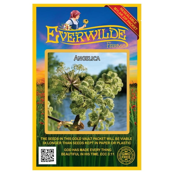 Everwilde Farms - 200 Angelica Native Wildflower Seeds - Gold Vault Jumbo Bulk Seed Packet