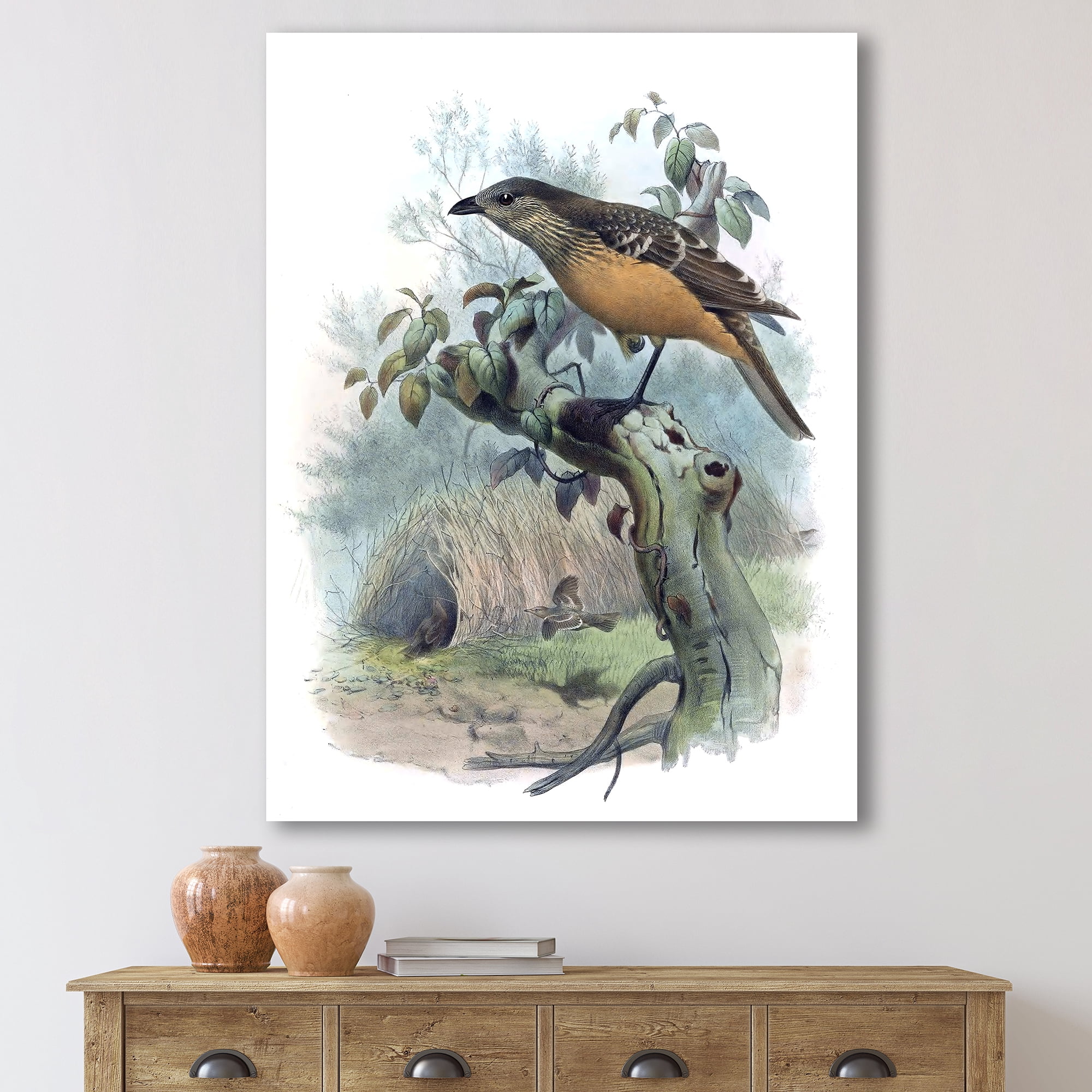 Designart ' The Paradise Birds on a Tree Branch ' Traditional Canvas Wall Art Print