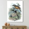 thumbnail image 2 of Designart ' The Paradise Birds on a Tree Branch ' Traditional Canvas Wall Art Print, 2 of 4