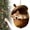 C, variant on Ornaments For Tree,Forest Animal Acorn Ornaments, Forest Christmas Ornaments, Pine Cone Animal Christmas Tree Hangning Ornaments, 2d Acrylic Christmas Decorations For Home Decor