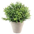 thumbnail image 1 of Coofit Artificial Potted Plant Decorative Artificial Greenery Plant for Home Office, 1 of 9