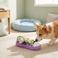 thumbnail image 5 of Dog Chew Toy Slipper With Squeaker for Aggressive Chewers, Durable Plush Tug Toy for Small Medium Dogs and Cats, 5 of 6