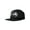 Black , Gray, variant on Jurassic Park Logo Adult Unisex Baseball Cap