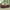 Espresso Red, variant on Modway Convene 3 Piece Outdoor Patio Sofa Set in Espresso Red