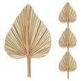 thumbnail image 3 of 4Pcs Dried Palm Leaves Dried Palm Fans Bohemian Dried Palm Spears Artificial Plants Palm Leaves Trop, 3 of 5