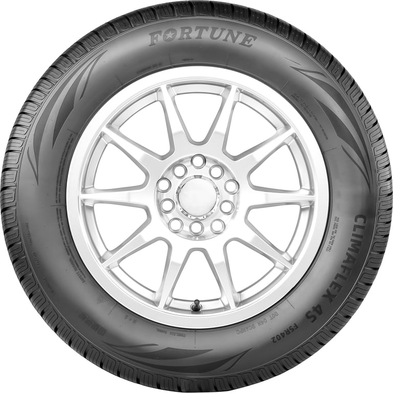 Fortune ClimaFlex 4S FSR402 225/55R18 98V All Weather Tire