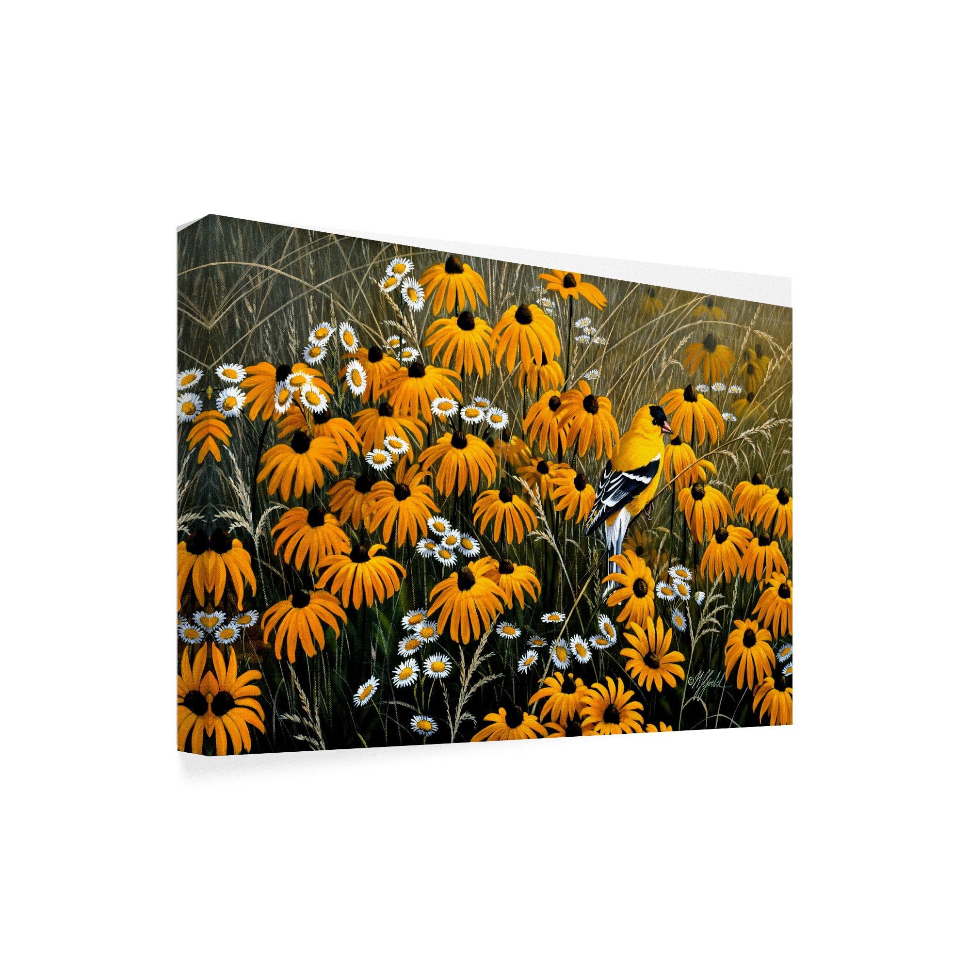 Trademark Fine Art 'Summer Gold' Canvas Art by Wilhelm Goebel