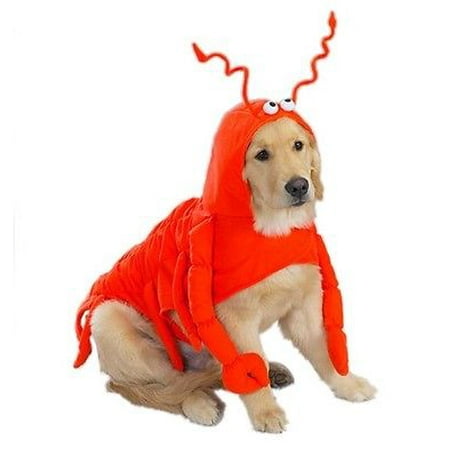 LOBSTER COSTUME for DOGS Dress Your Pooch Like Everyone's Favorite Crustacean (Lobster Paws,Large)
