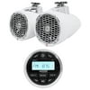 Pair Rockford Fosgate PM2652W 6.5" 340 Watt Marine Wakeboard Speakers+Receiver