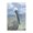 Pelican Coastal Clouds, variant on Stupell Industries Tropical Resting Beach Pelican Black Floating Frame Canvas Art, 17 x 21, by Julie DeRice