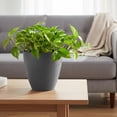 thumbnail image 2 of Bloem Arbor 8" Indoor Metal Cachepot - Decorative Planter with Powder-Coated Finish, Removable Drain Plug, Charcoal, 2-Pack, 2 of 6