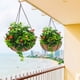 thumbnail image 3 of 2 macetas colgantes de metal con forro de fibra de coco, cesta colgante de alambre redondo de 12 pulgadas con cadena, decoración de porche, macetas, decoración de jardín, riego interior y exterior ACTIVE Biensenido a ACTIVE, 3 of 5