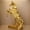 Multicolor, variant on Gold Horse Statue Figurines to Attract Luck and Wealth Resin Standing Horse Art Sculpture Home Office Decoration Tabletop Decor Ornaments for Desk Bookshelf