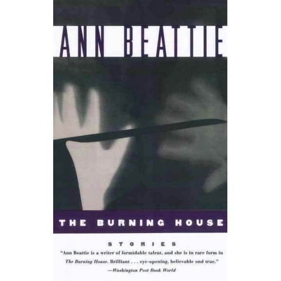 Vintage Contemporaries: Burning House (Paperback)