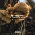 thumbnail image 4 of Mushroom Mix Cordyceps Melena 60 cáps Mushroom Supplements, 4 of 4