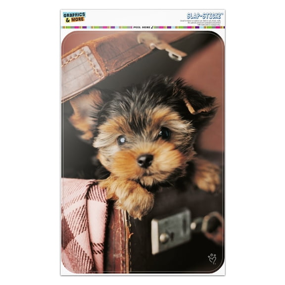 Yorkie Yorkshire Terrier Puppy Dog in Briefcase Trunk Suitcase Home Business Office Sign