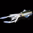 thumbnail image 3 of TNOBHG Fishing Squid Lure 15cm/20g Fishing Soft Squid Lure Realistic 3d Eyes Glow-in-the-dark Colorful Artificial Octopus Bait for Sea Trolling Fishing, 3 of 8