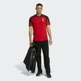 thumbnail image 5 of adidas Beligium Home Men's Soccer Jersey World Cup 2022 (L) Red/Black, 5 of 8