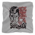 thumbnail image 1 of Superman Retro Lines Bandana (21 in x 21 in), 1 of 4