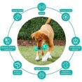thumbnail image 5 of Chew Toy for Dogs, Multifunction Pet Molar, Non-Toxic Effective Bite-Resistant Natural Rubber Chew Toy, 5 of 5