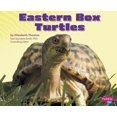 thumbnail image 1 of Pre-Owned Pebble Plus: Reptiles: Eastern Box Turtles (Hardcover), 1 of 1