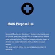 Safetec Sanizide Plus Germicidal Solution 16 oz Trigger Spray Bottle 1 Each