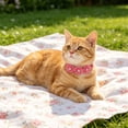 thumbnail image 6 of Cat Collar, Adjustable Breakaway Safety Bowtie with Rhinestone Flower Design, Colorful Floral Pet Necklace,Ideal for Daily Wearing and Pet Parties, 6 of 6